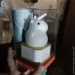 3D Toyslamp  ,    () (1756375711)