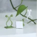 Клипса для подвязки 3M Клипсы для подвязки растений (3366) Клипса для подвязки 3M Клипсы для подвязки растений (3366)