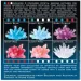 4     00-03913/EU  Crystal Growing