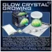 4      00-03918/EU  Crystal Growing