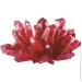 4     00-03922  "Crystal Imaginations