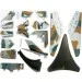  4D Master F-117A (26211)