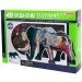  4D Master  (FM-622037)