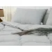   310.52_Soft Line