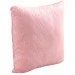    311.55_Rose
