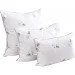   313.52_Swan Luxury