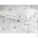   316.52_Silver Swan_demi 172x205