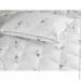   316.52_Silver Swan_demi 172x205