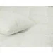   316.52_Warm Silver 172x205