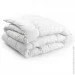   316.52_Warm Silver 172x205