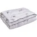  320.52_Silver Swan_demi 105x140