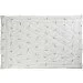   321.52_Silver Swan 140x205