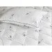  321.52_Silver Swan 140x205