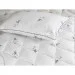   322.52_Silver Swan 200x220
