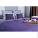   360.55_Violet