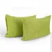   382.55_Green banana