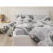     (845.114_Grey Cat)