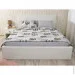     (845.114_Grey Cat)