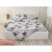     (845.114_Grey Cat)