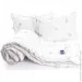   + 2  5070  925.52_Silver Swan_demi 200220