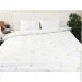   + 2  5070  925.52_Silver Swan_demi 200220