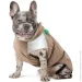   Chip    S2 (4823082438839)