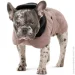   Max     (4823082439522)