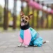   Milly  S    (4823082439805)