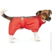   RAIN 7XL  PR242549