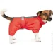   RAIN XL  PR242557