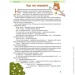  -    Englishi.  .  1