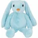     Lovely blue (-0064)
