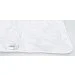  IDEIA Aloe Vera  140x210 