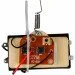   ǳ   (135743)