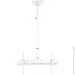   CM-0604T White