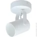   SP TUB 1001 1xGU10 