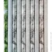        Elegance collection 1336-03 1,06x10,05 