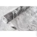        Elegance collection  2395-10 1,06x10,05 