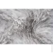        Elegance collection  2395-10 1,06x10,05 