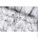       Le Grand platinum b 2 1603-10 1,06x10,05 