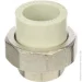       PPR 20x1/2