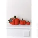    Pumpkin"  Dx15 