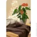    SOFT 140180   (3040)