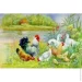   ĳ       5D 21x25  (  )