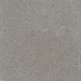   10010060 