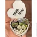     "With Love"   , ,  8-0310