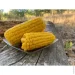   ҳ 2424   (24796)