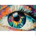     EYE 55x80 