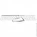  (  ) A4Tech FB2535C (Icy White)