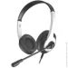 A4Tech  FH100U Panda (4711421977043)
